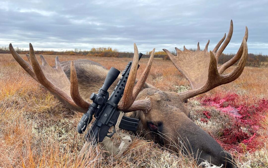 Alaskan Moose with Alexander Arms 6.5 Grendel Pistol on SHWAT.com