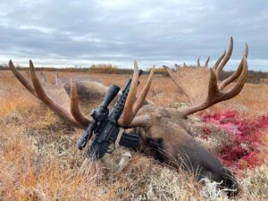 Alaskan Moose with Alexander Arms 6.5 Grendel Pistol on SHWAT.com