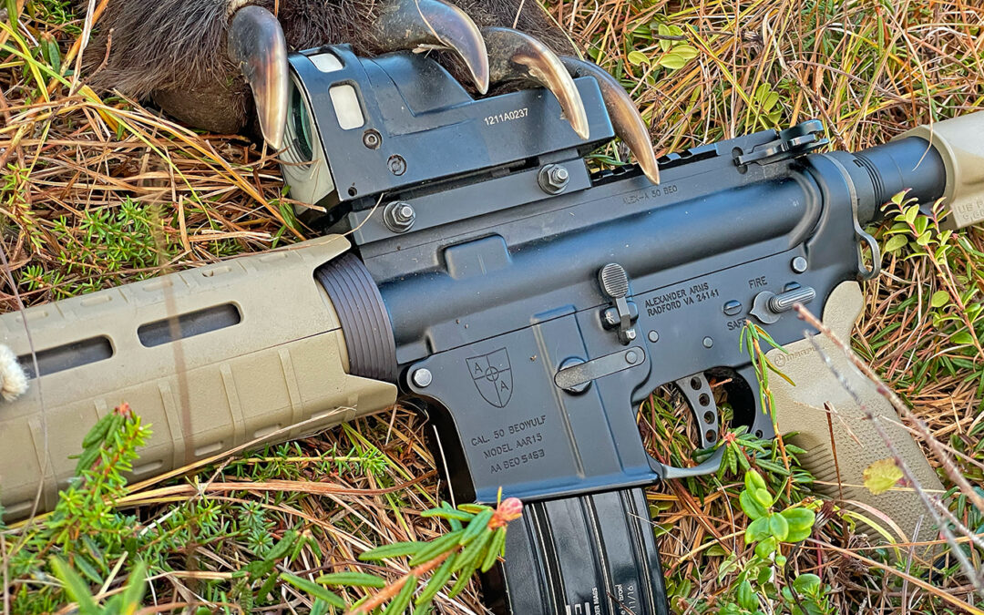 .50 Beowulf – What’s it good for anyway?