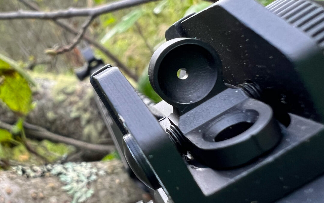 Most Shooters are Using Iron Sights Wrong. Here’s Why.