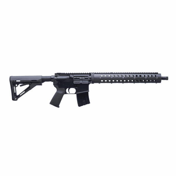 .223 Wylde Rifle