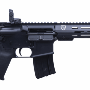 .300 AAC Blackout Rifle