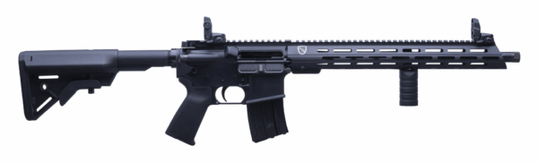 .300 AAC Blackout Rifle