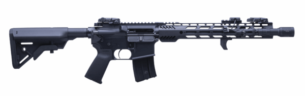 .223 Wylde Rifle