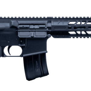 .300 AAC Blackout Rifle